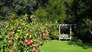 A garden with a tree bearing red apples and a wooden pergola in the background. - The Cider Barn in Saint Austell (St Austell)