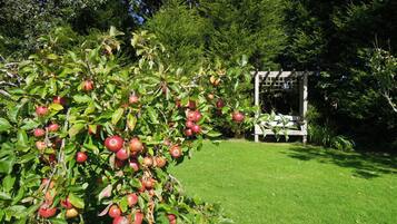 Lejlighed | 2 soveværelser