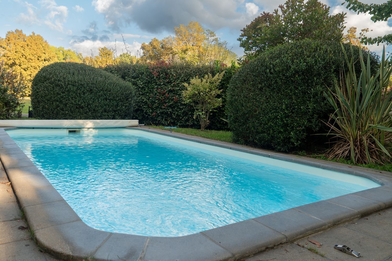 A rectangular swimming pool with a clear blue water surface, surrounded by neatly trimmed hedges and trees.