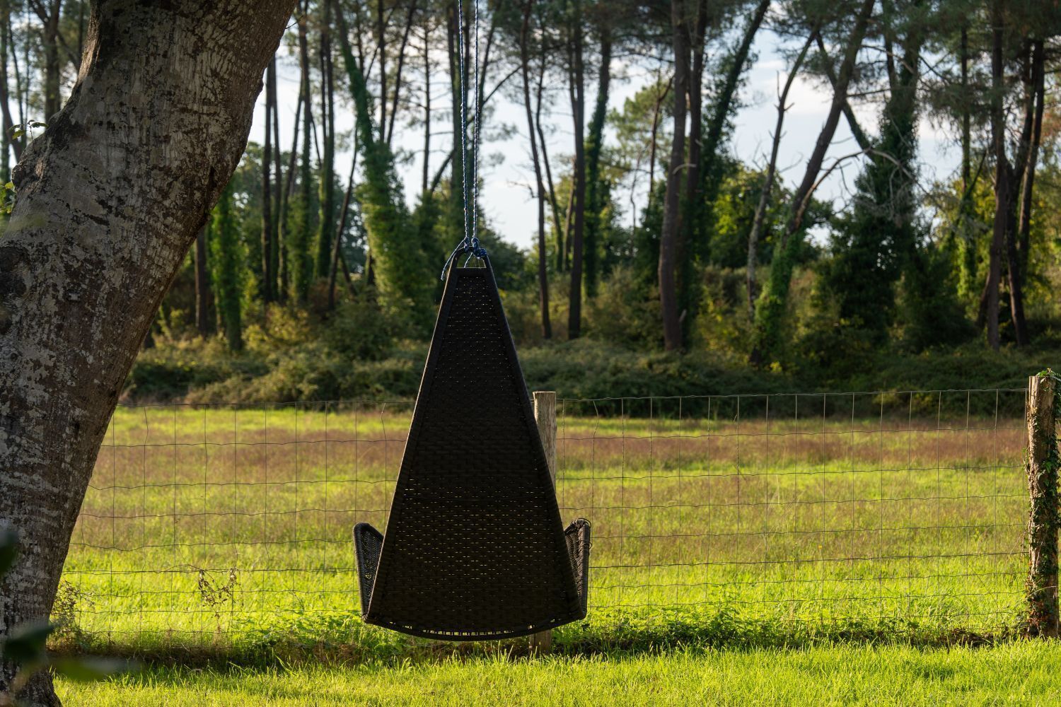 A black triangular sculpture in a grassy field with a fence in the background.