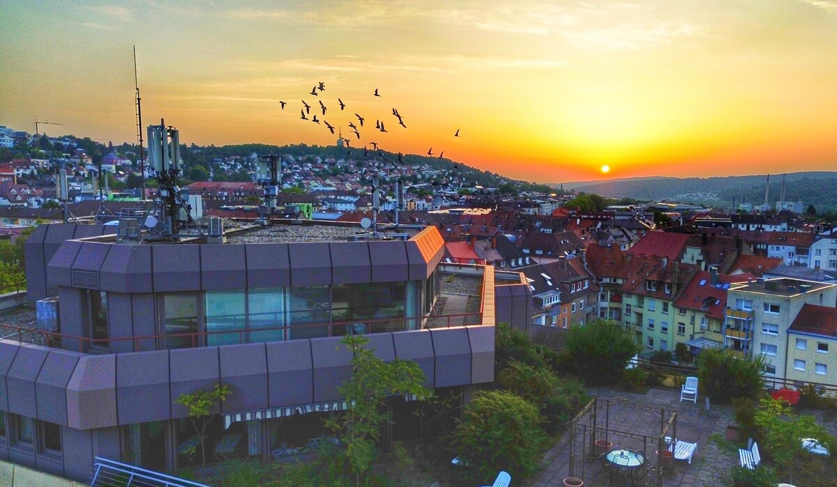 Imagen de perfil del propietario o de la propietaria