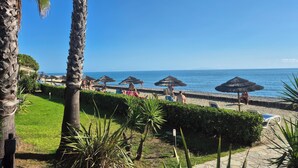 A beach view with palm trees, umbrellas, and a clear sky. - Magnificent T3 air-conditioned ground floor apartment with swimming pool and private beach ideal location (San-Nicolao)