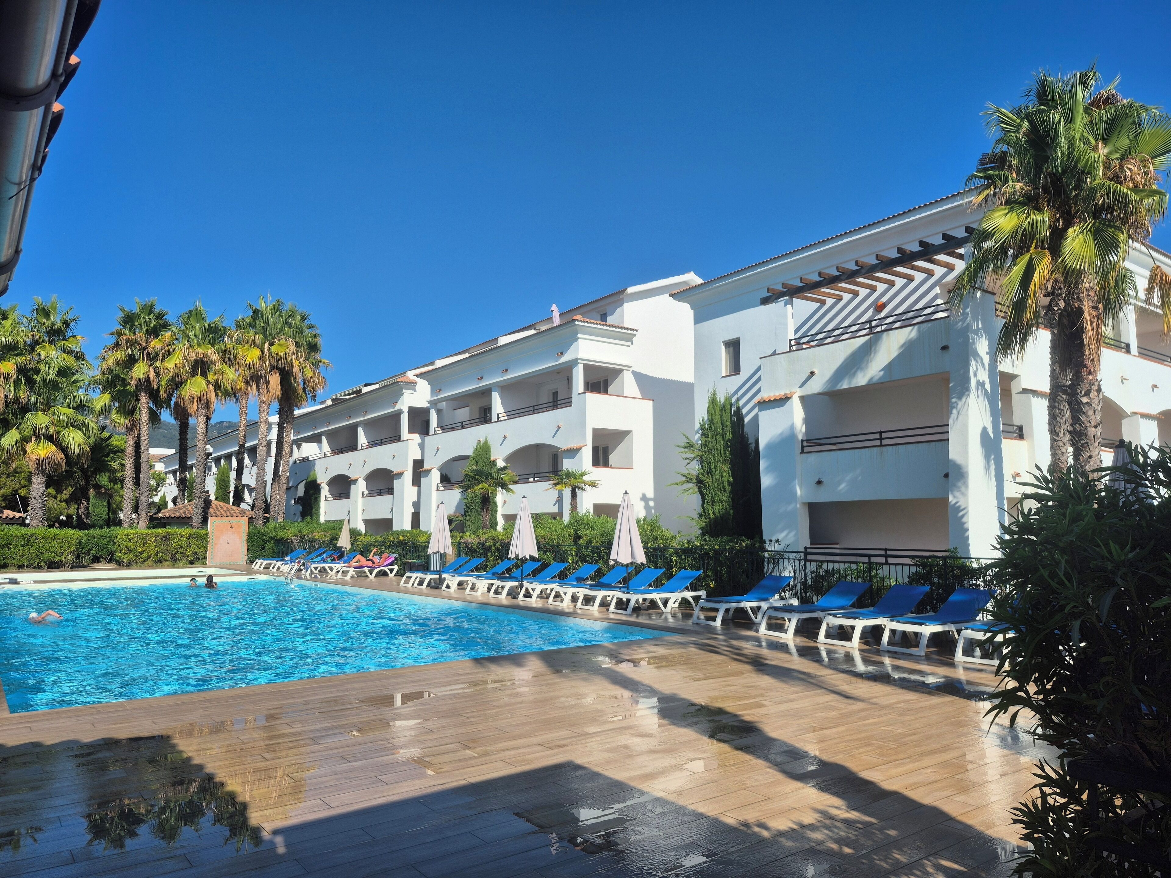 A hotel with a swimming pool, blue lounge chairs, and palm trees.