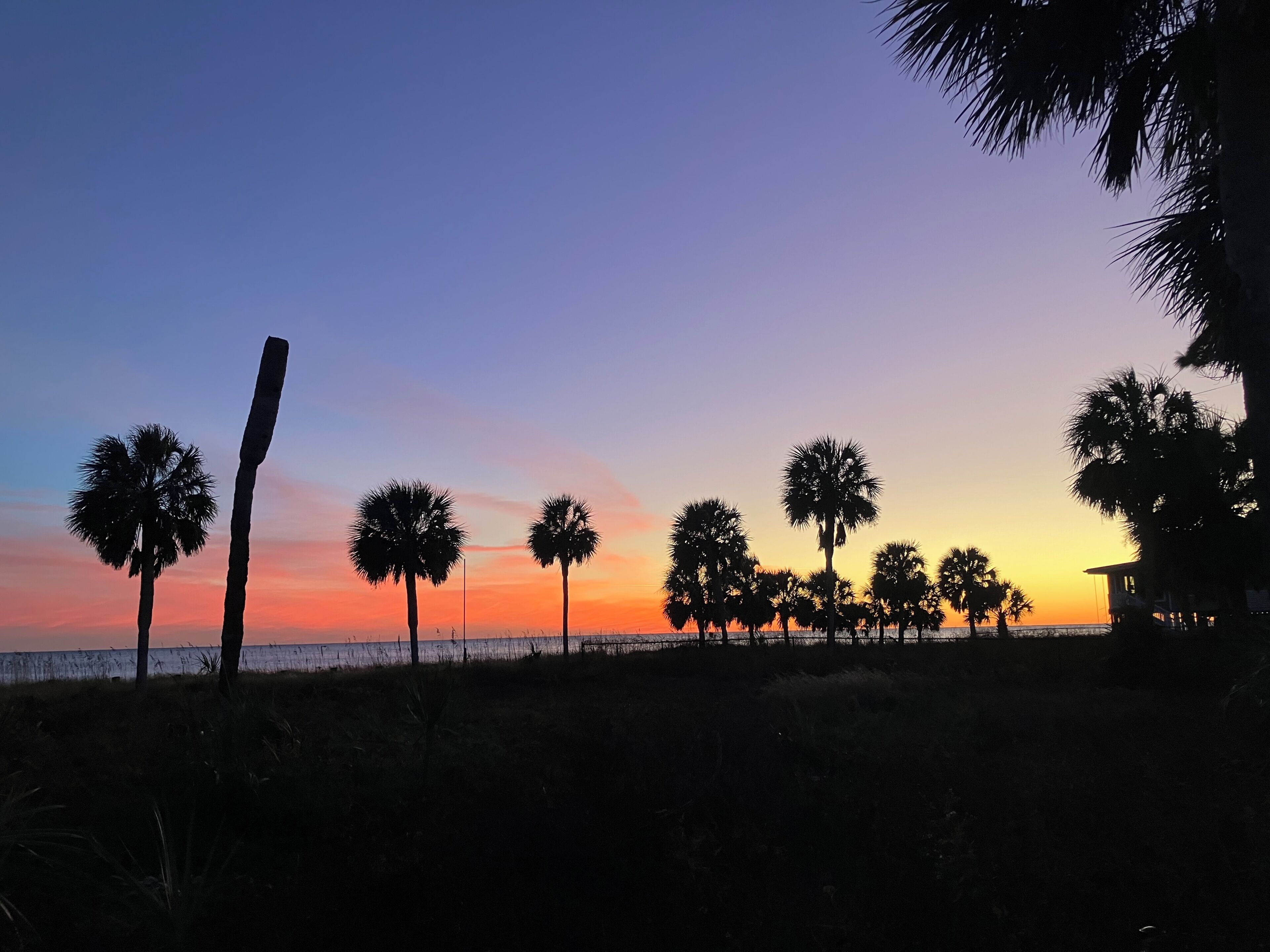 A beach scene with palm trees silhouetted against a sunset sky.