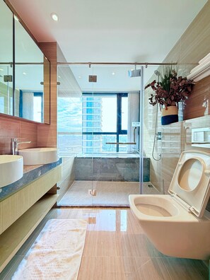 Hair dryer, towels, soap, toilet paper