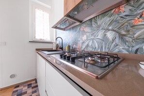 Fridge, oven, stovetop, dishwasher