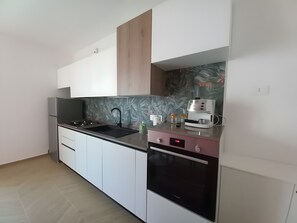 Frigorífico, horno, placa de cocina y lavavajillas