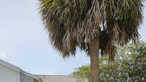 A single-story house with a front yard, a driveway, and a garage. - WaterView 4 miles to Disney 3Br 2Ba Pool Home (Kissimmee)