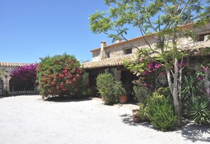 المنطقة المحيطة بالمنشأة