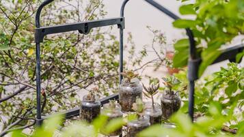 Apartment | 1 Schlafzimmer