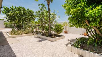 Appartement | 1 slaapkamer