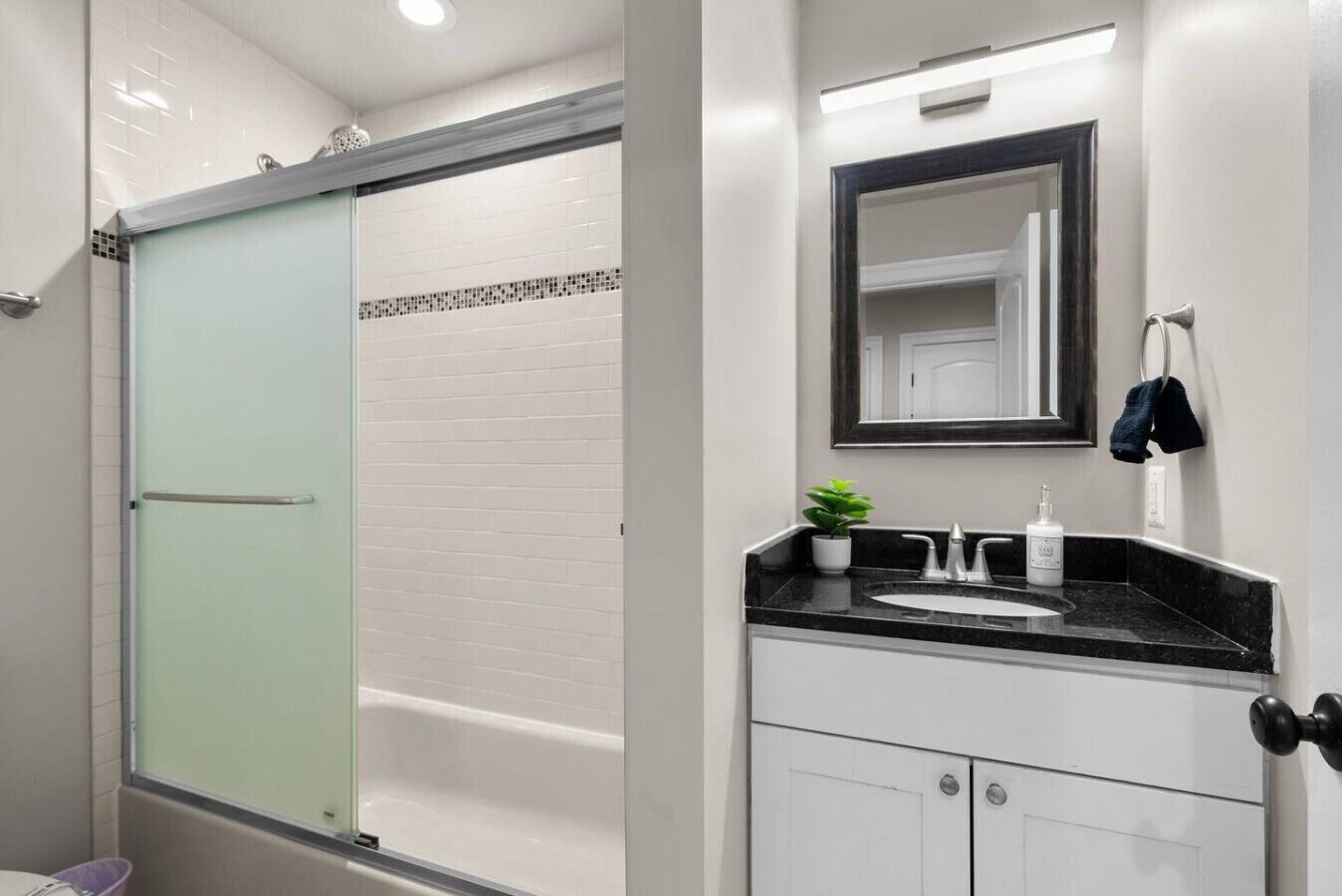 Un baño con mampara de vidrio, lavamanos con espejo arriba y una planta en la encimera.