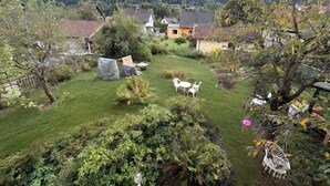 Ein Wohngebiet mit Häusern, einem Rasen und einer Bergkulisse im Hintergrund.
