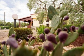 Property grounds - Villa 'Mario Pool and Relax' with Private Pool, Wi-Fi and Air Conditioning (Mottola)
