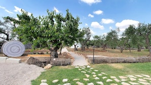 Ein Garten mit Kiesweg, Steintreppe und Bäumen.