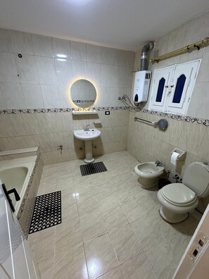 Hair dryer, towels, toilet paper
