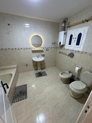 Hair dryer, towels, toilet paper