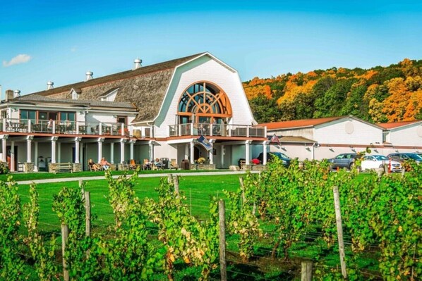 Un bâtiment doté d’une grande fenêtre en arc de cercle, d’un espace extérieur abrité avec des sièges et d’un vignoble en premier plan.