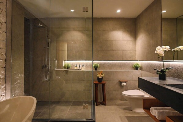 A modern bathroom with a glass-enclosed shower, a bathtub, a toilet, and a vanity with a mirror.