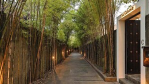 A pathway flanked by tall bamboo trees leading to a building with a black door and a sign that reads "The Cabana." - Closed Living Room Villa The Cabana in Seminyak (Seminyak)