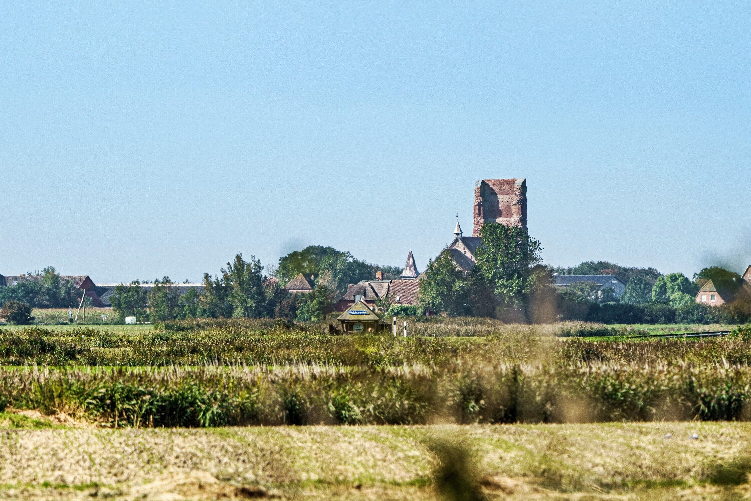 Un paysage rural avec une église, des maisons et des champs.