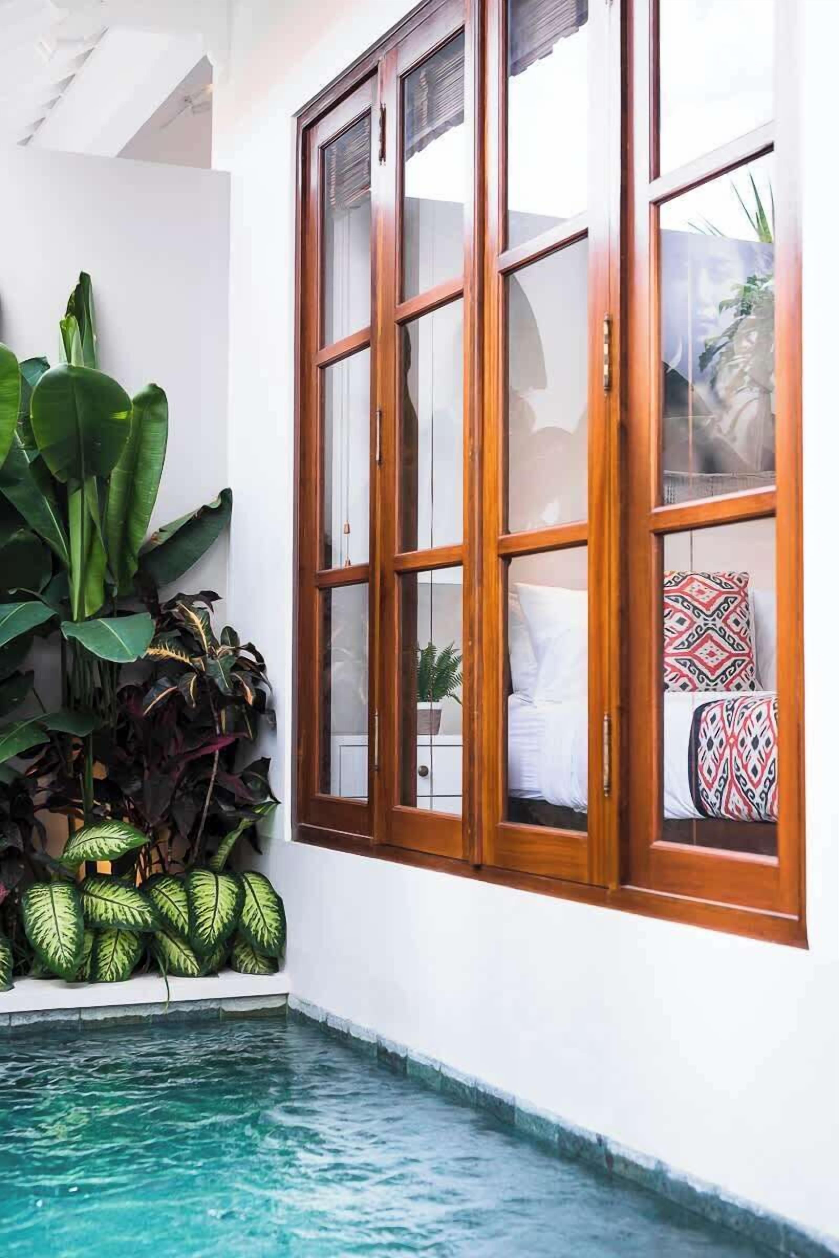 A room with a wooden-framed window, a small pool, and various plants.
