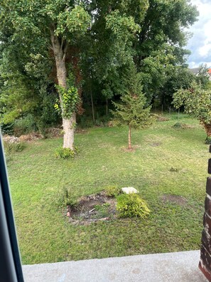 المنطقة المحيطة بالمنشأة