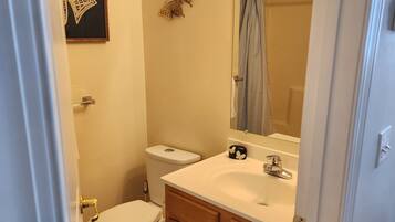 Toallas y papel de baño