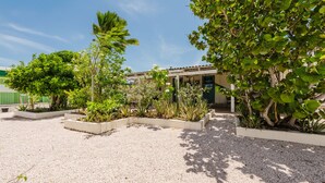Un patio con suelo de grava, rodeado de diversas plantas y árboles.