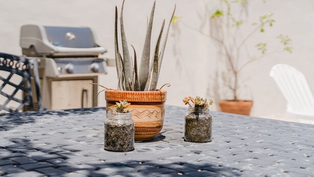 Un patio con una mesa, una maceta con planta de aloe vera y dos pequeños frascos de hierbas.