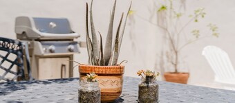 1 Minute Walk to Beach Aruba Mangel Halto