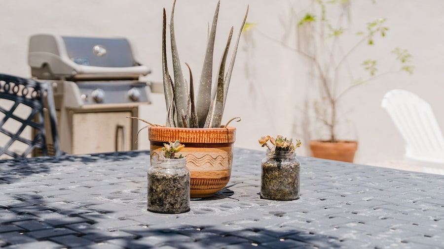 1 Minute Walk to Beach Aruba Mangel Halto