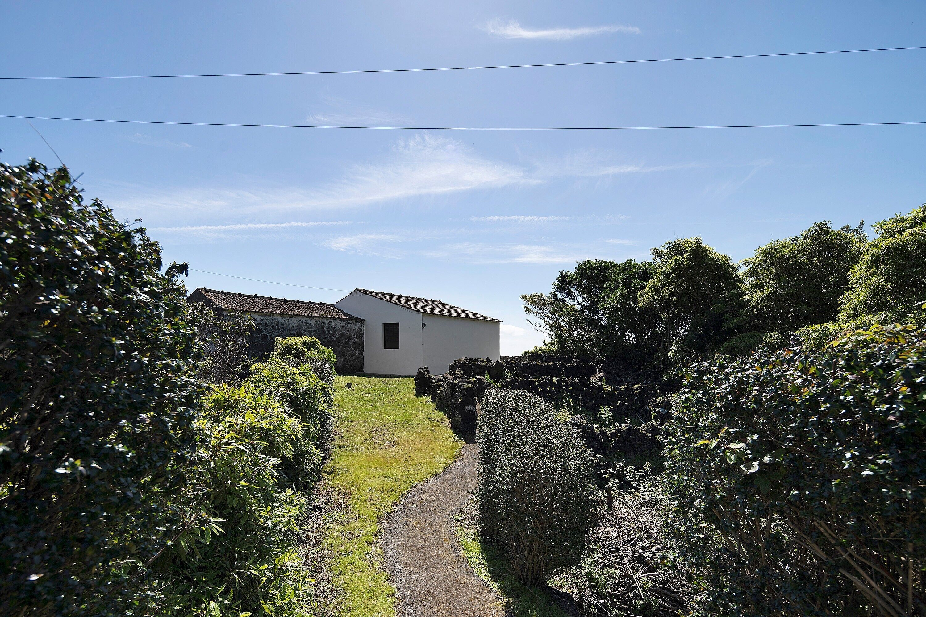 A narrow pathway leading to a white building with a sloped roof, surrounded by dense greenery.
