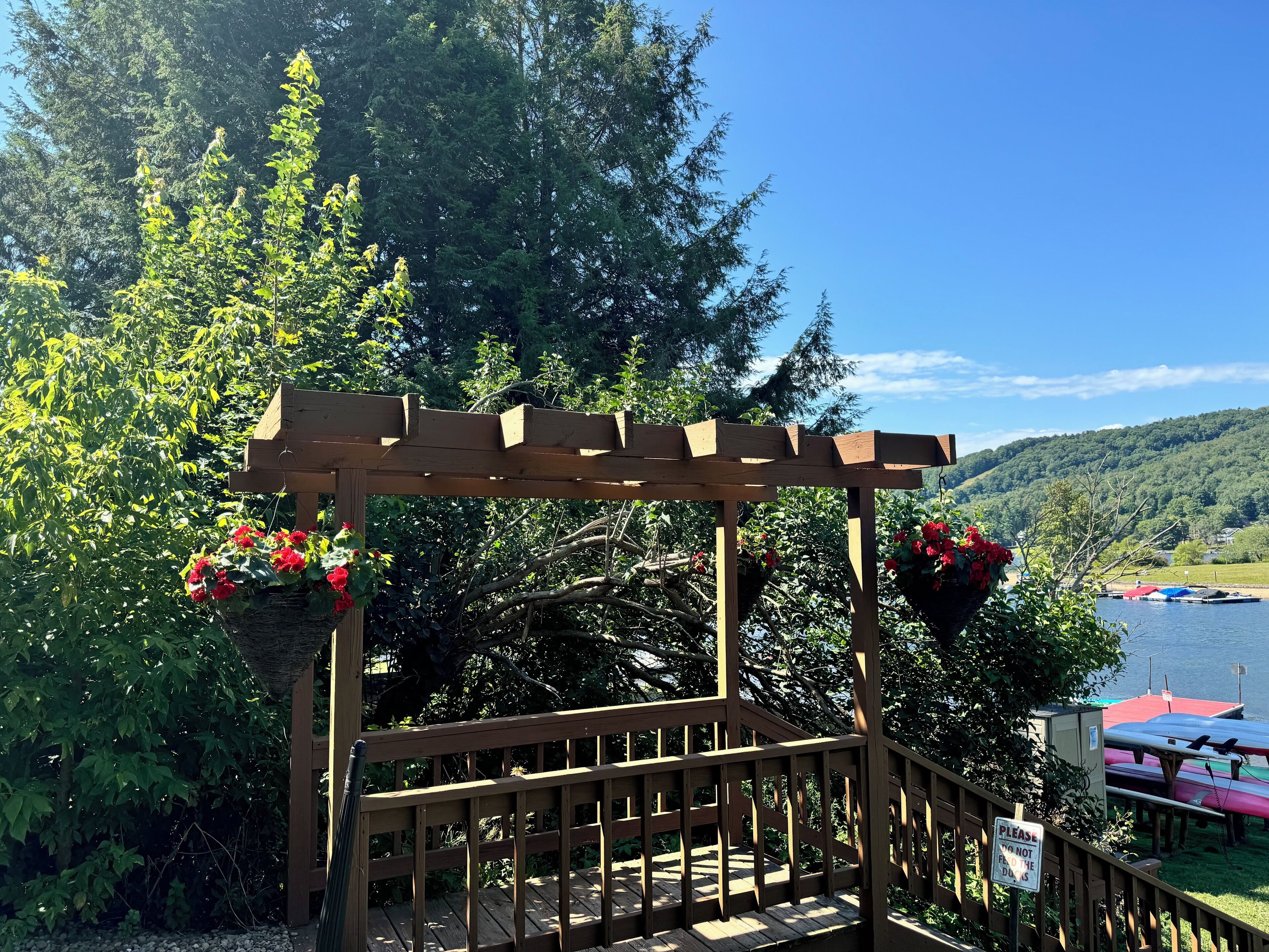 A wooden pergola with red flowers, overlooking a lake with boats and a forested hillside.