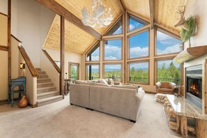 TV, fireplace, books