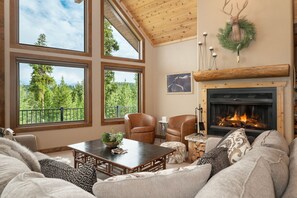 TV, fireplace, books