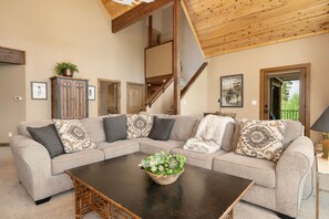 TV, fireplace, books