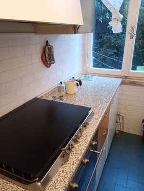 Fridge, oven, stovetop, dishwasher