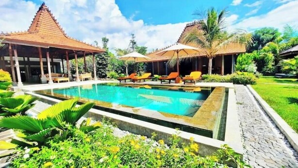 Une piscine dotée de chaises longues, entourée de plantes tropicales et abritée par des structures couvertes.