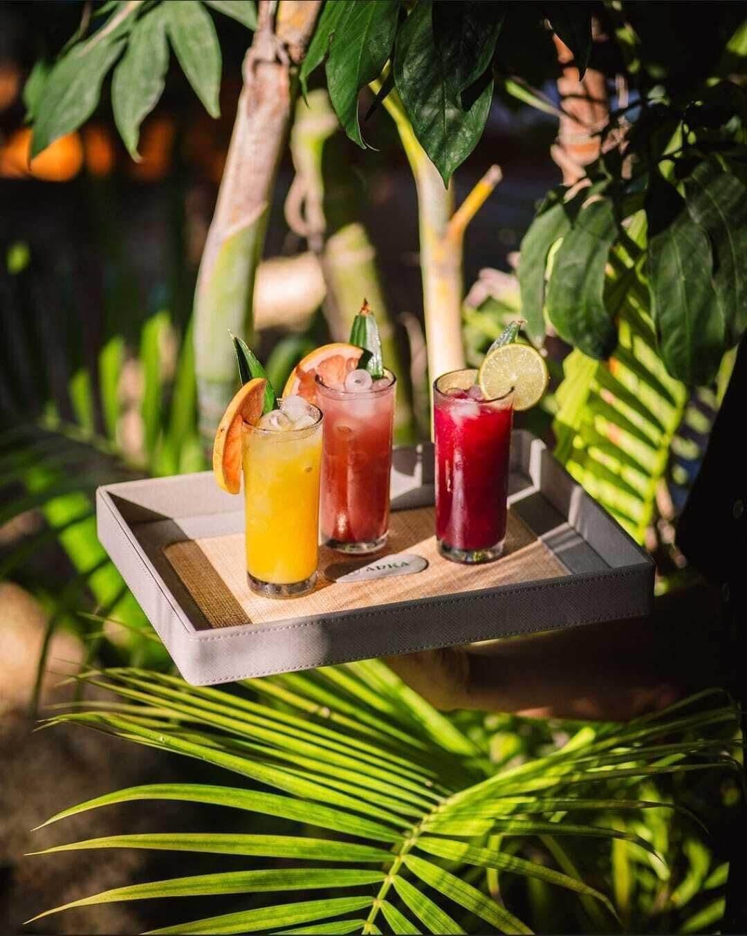 Three drinks on a tray with a plant in the background.