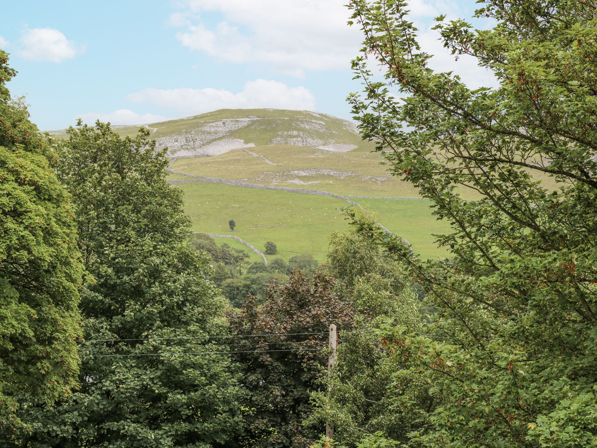A lush green landscape with a stone wall and a hill in the background.