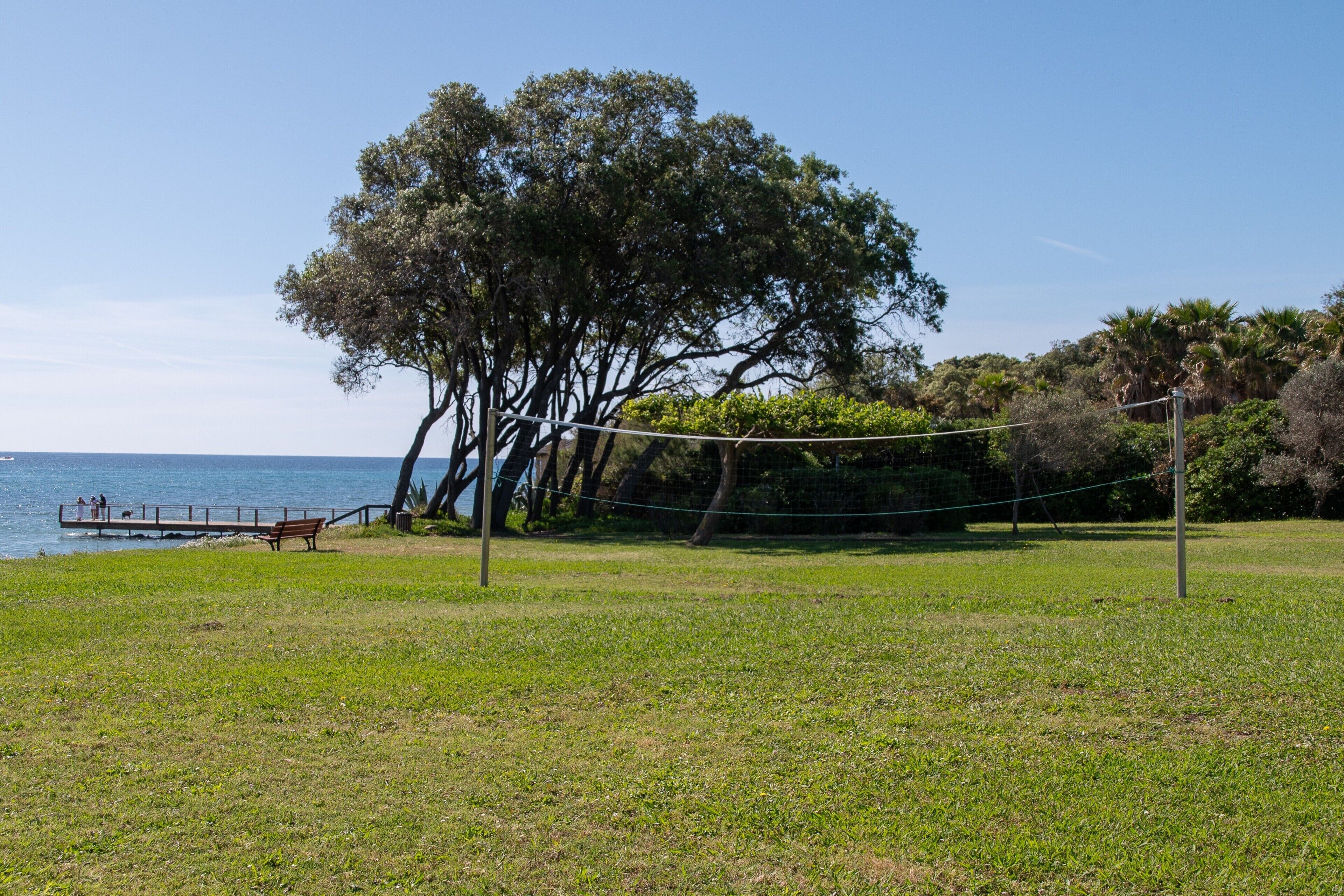 Sport court