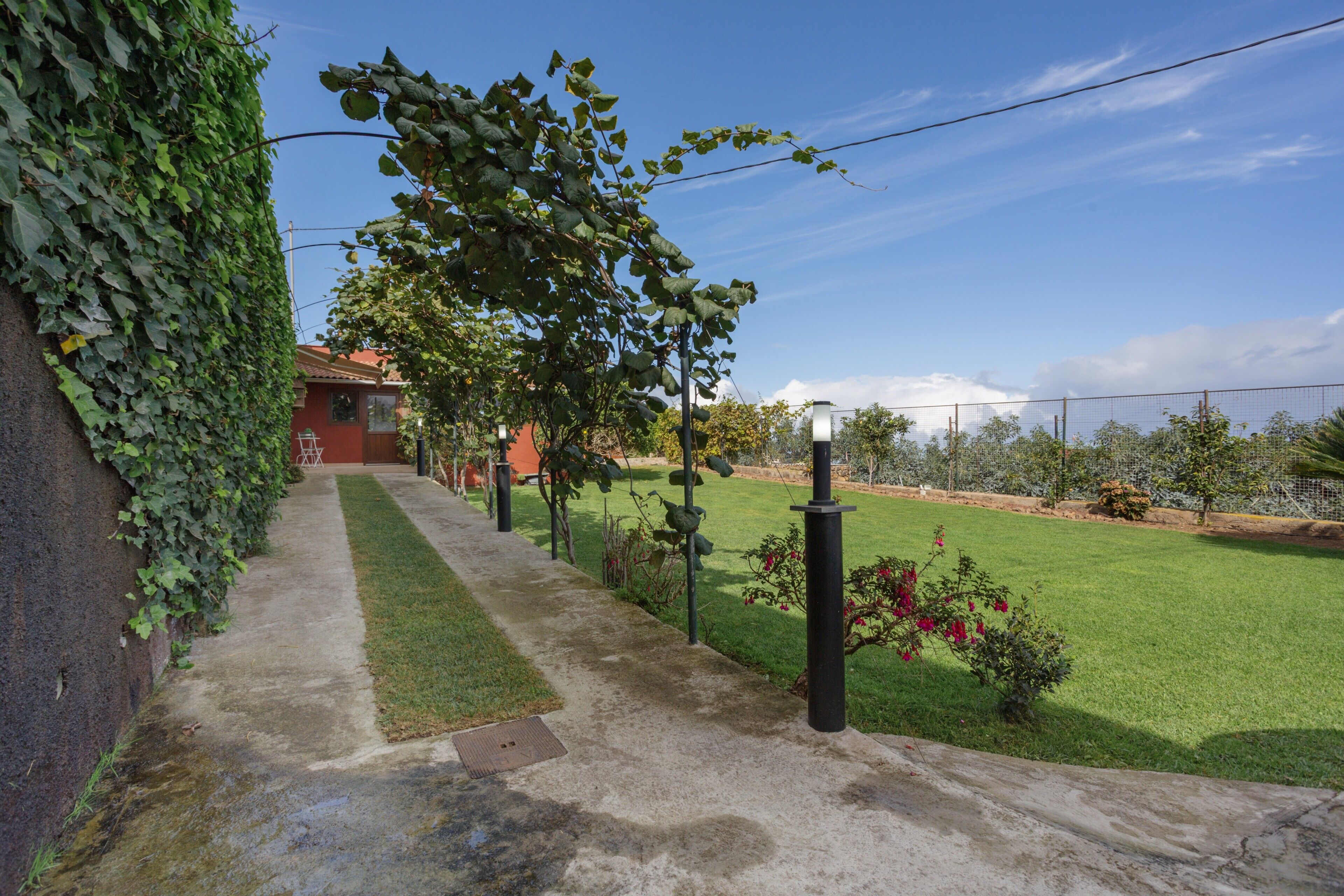 A pathway leading to a building with a red facade, surrounded by a well-maintained lawn and a hedge.