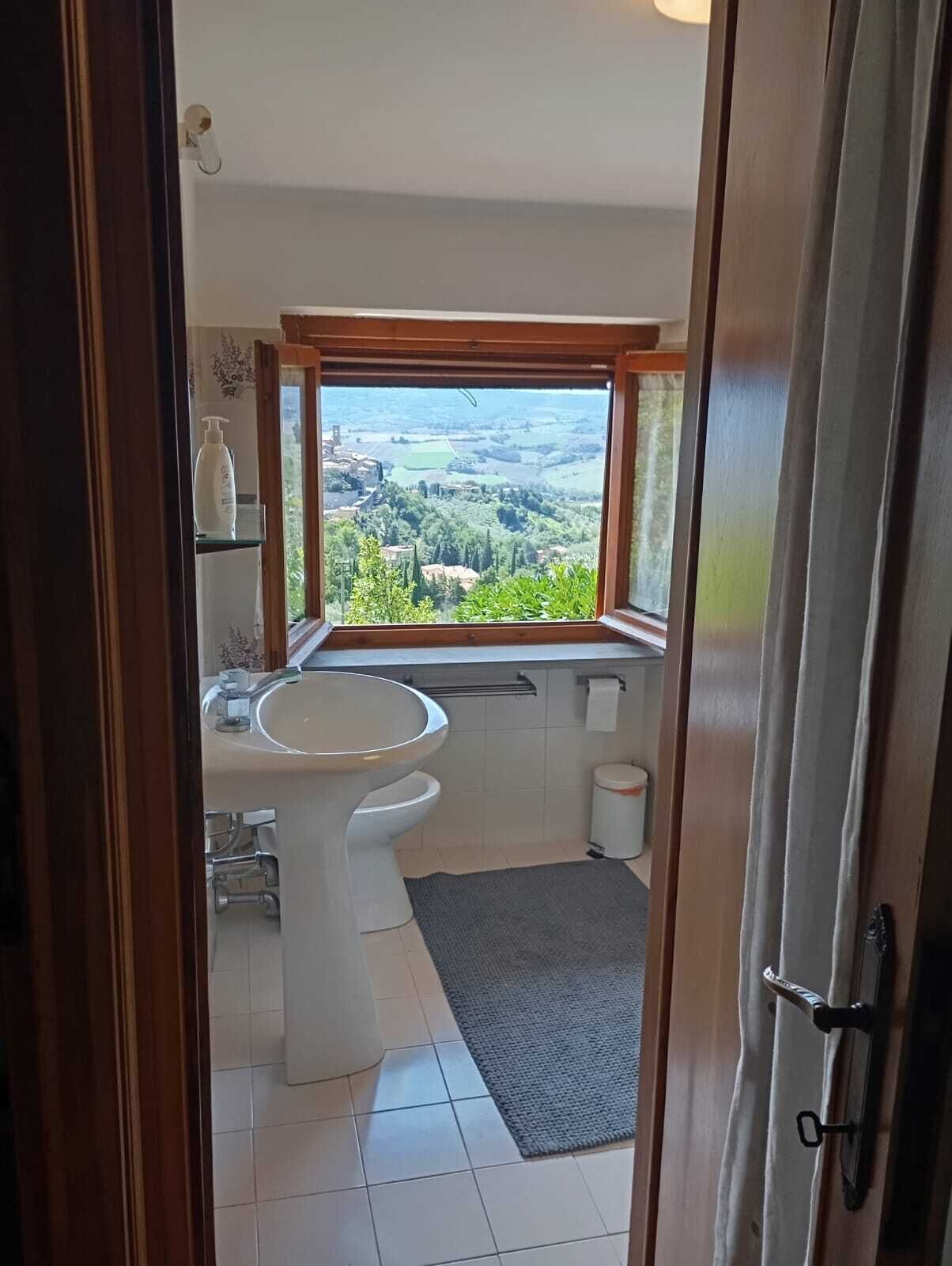 A bathroom with a toilet, sink, and window overlooking a scenic landscape.