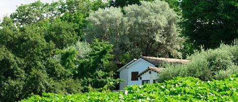 Parco della struttura