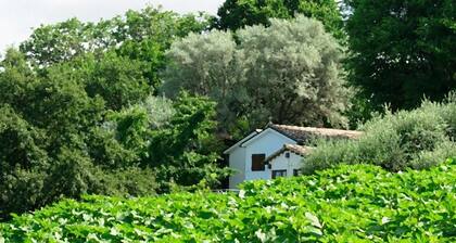 Large apartment for groups - Pool-Park -Art - Nature