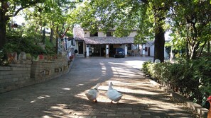 Exterior