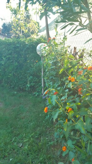 Property grounds - Holiday Home 'Terdom' with Private Terrace, Garden, and Air Conditioning (Terracina)