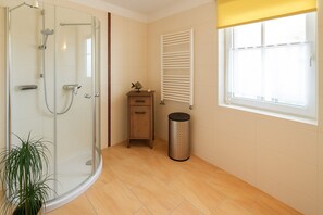 Shower, hair dryer, soap, toilet paper