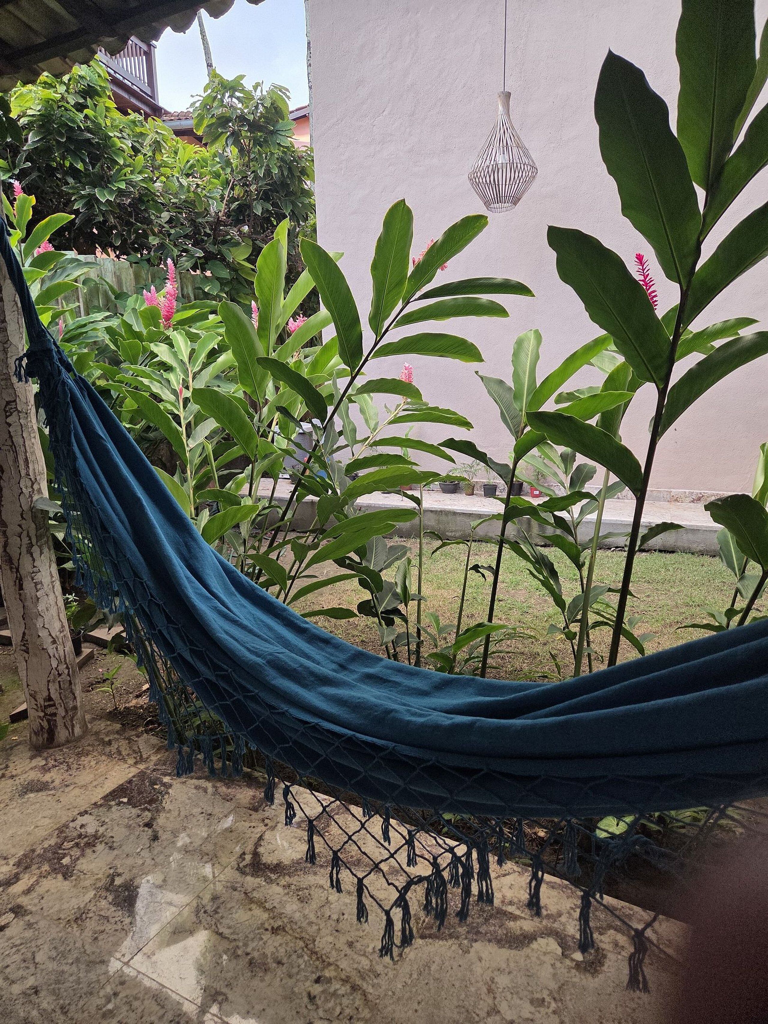 Deluxe Suite | Property grounds